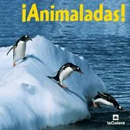 ¡Animaladas!