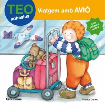 Viatgem amb avió