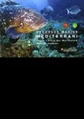 Recursos marins del Mediterrani. Fauna i flora del mar català