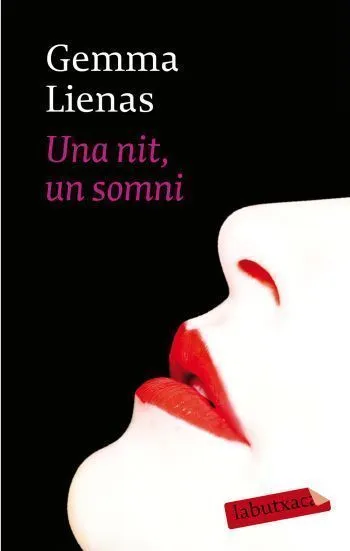 Una nit, un somni