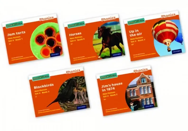 READ WRITE INC:PHONICS SET 4 ORANGE NON-FICTION