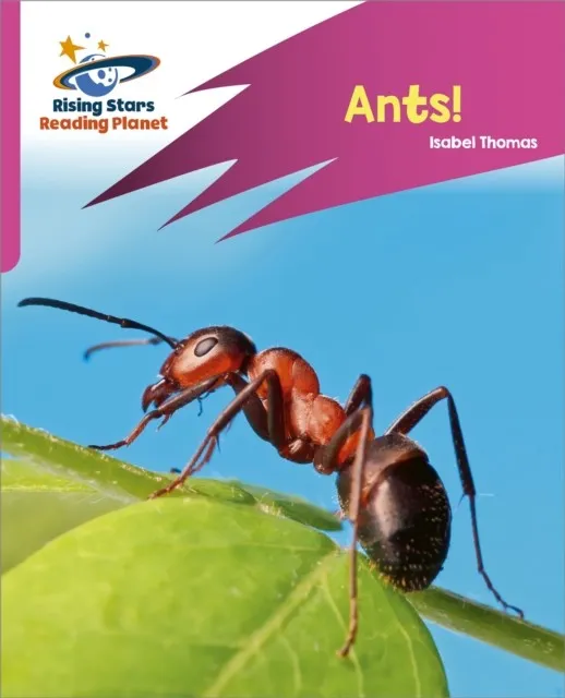 READING PLANET: ROCKET PHONICS – TARGET PRACTICE – ANTS! – PINK A
