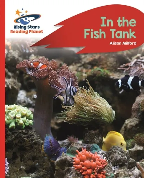 IN THE FISH TANK - RED B