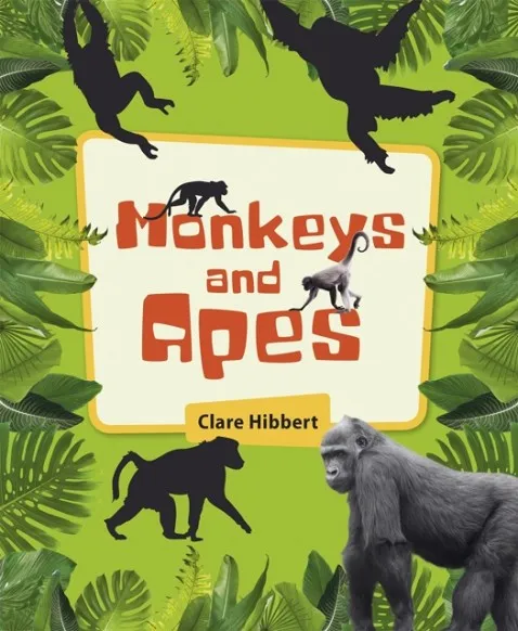 MONKEYS AND APES - LEVEL 4: EARTH/GREY BAND