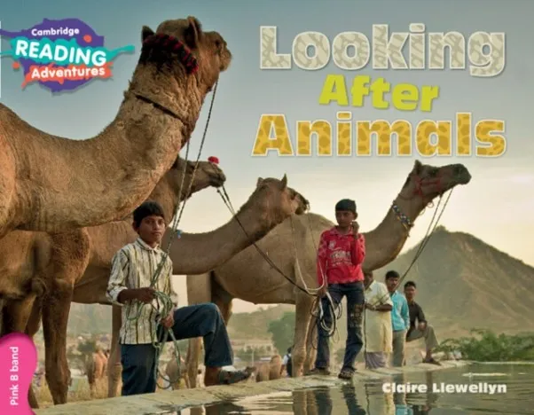 PINK B LOOKING AFTER ANIMALS