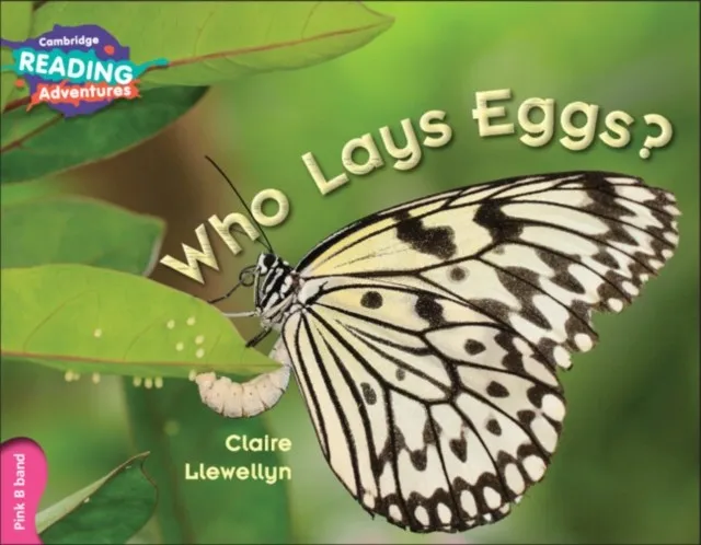 PINK B WHO LAYS EGGS?