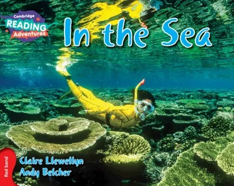 RED IN THE SEA