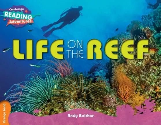ORANGE LIFE ON THE REEF
