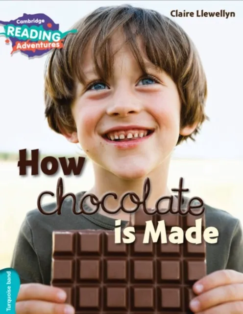 TURQUOISE HOW CHOCOLATE IS MADE