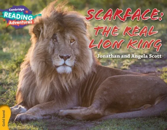 GOLD SCARFACE: THE REAL LION KING