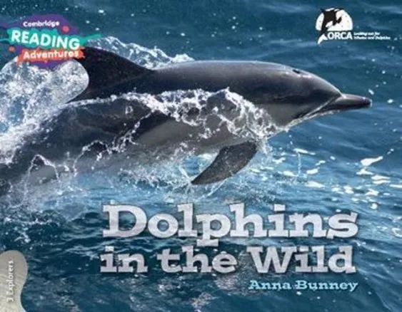 EXPLORERS DOLPHINS IN THE WILD