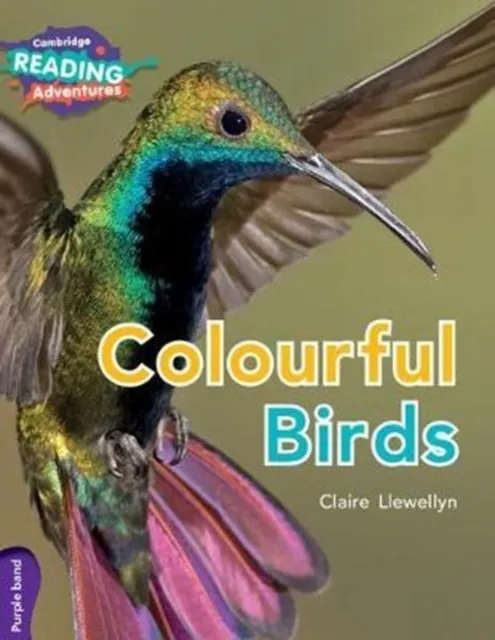 PURPLE COLOURFUL BIRDS