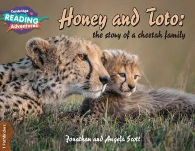 PATHFINDERS HONEY AND TOTO: THE STORY OF A CHEETAH FAMILY