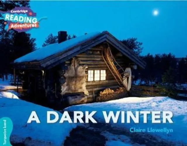 TURQUOISE A DARK WINTER