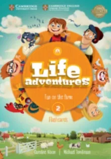 LIFE ADVENTURES 2 FLASHCARDS