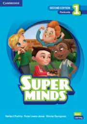 SUPER MINDS 2E LEVEL 1 FLASHCARD