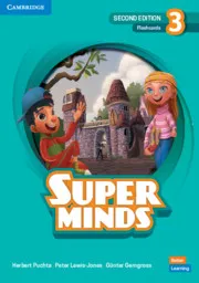 SUPER MINDS 2E LEVEL 3 FLASHCARDS