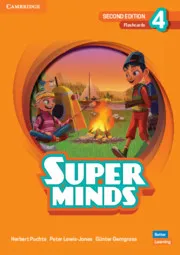 SUPER MINDS 2E LEVEL 4 FLASHCARD