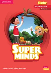 SUPER MINDS 2E STARTER FLASHCARD