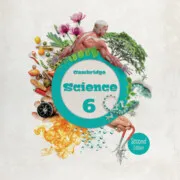 CAMBRIDGE NATURAL AND SOCIAL SCIENCE LEVEL 6 PUPIL'S BOOK PACK