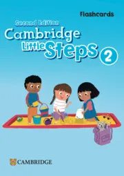 CAMBRIDGE LITTLE STEPS LEVEL 2 FLASHCARDS