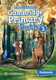 CAMBRIDGE PRIMARY PATH LEVEL 3 FLASHCARDS