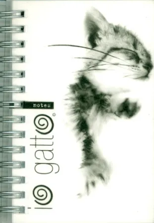 IO GATTO