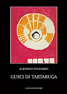 GUSCI DI TARTARUGA