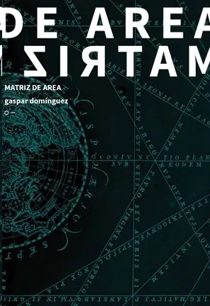 MATRIZ DE AREA