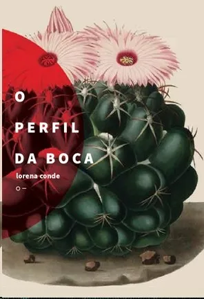 O PERFIL DA BOCA