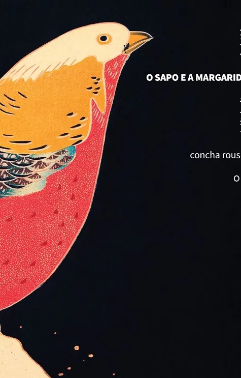O SAPO E A MARGARIDA