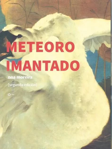 METEORO IMANTADO