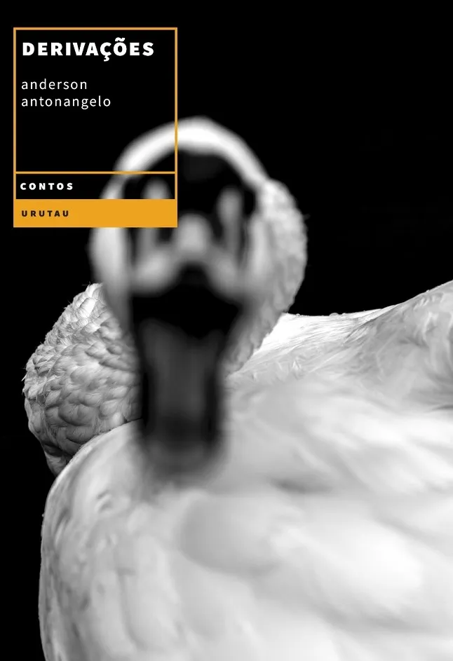 DERIVAÇÕES