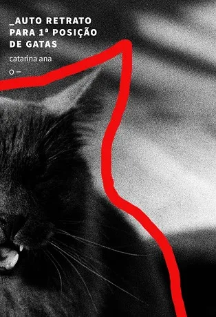 AUTO RETRATO PARA º POSIÇÃO DE GATAS