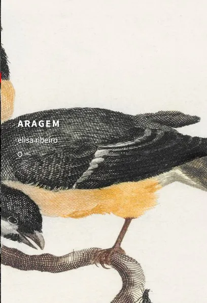ARAGEM
