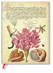 CUADERNO / CLAVEL ROSA - SERIE FASCINANTE BOTÁNICA / MINI / FLEXI