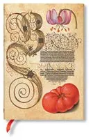 FASCINANTE BOTÁNICA / LIRIO Y TOMATE / MIDI / FLEXI