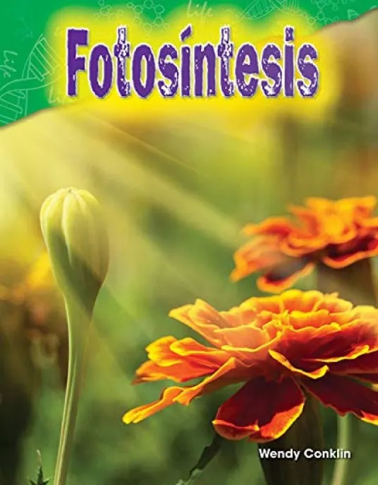FOTOSINTESIS (PHOTOSYNTHESIS)