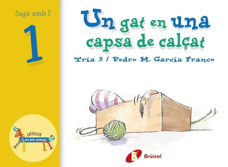 UN GAT EN UNA CAPSA DE CALÇAT