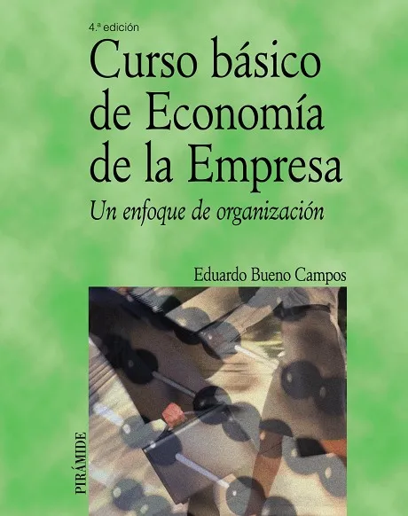 Curso básico de Economía de la Empresa