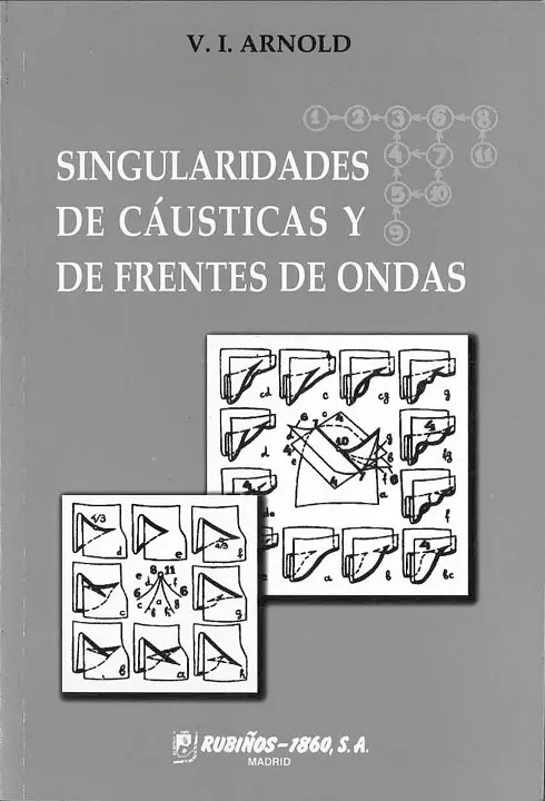 SINGULARIDADES CÁUSTICAS Y DE FRENTES DE ONDAS