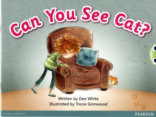 CAN YOU SEE CAT