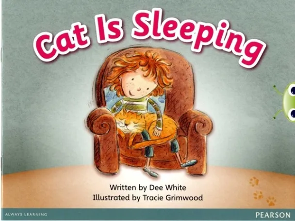 CAT IS SLEEPING
