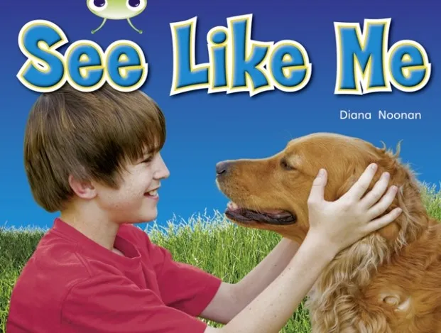 SEE LIKE ME