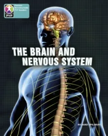 BRAIN AND NERVOUS SYSTEM 6 PACK-PYP L10