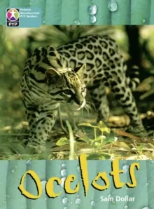 OCELOTS 6 PACK-PYP L10
