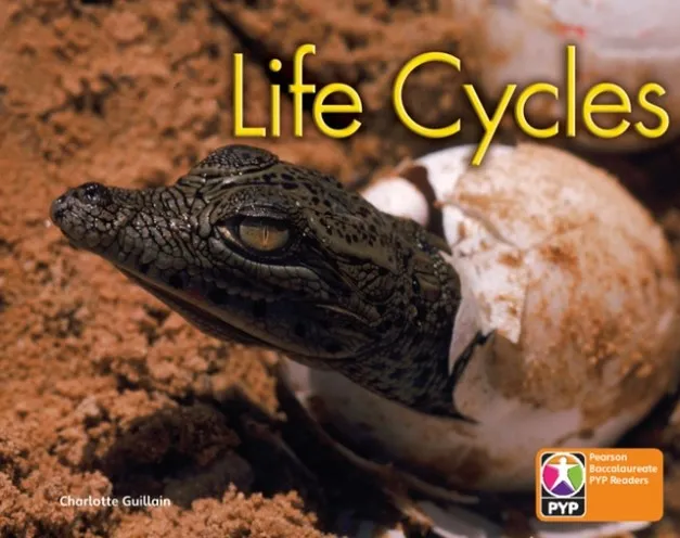 LIFE CYCLES 6 PACK-PYP L6