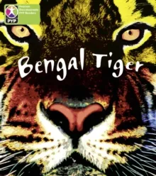 SAVE BENGAL TIGER 6 PACK-PYP L4