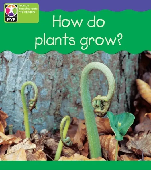 HOW PLANTS GROW 6 PACK-PYP L4