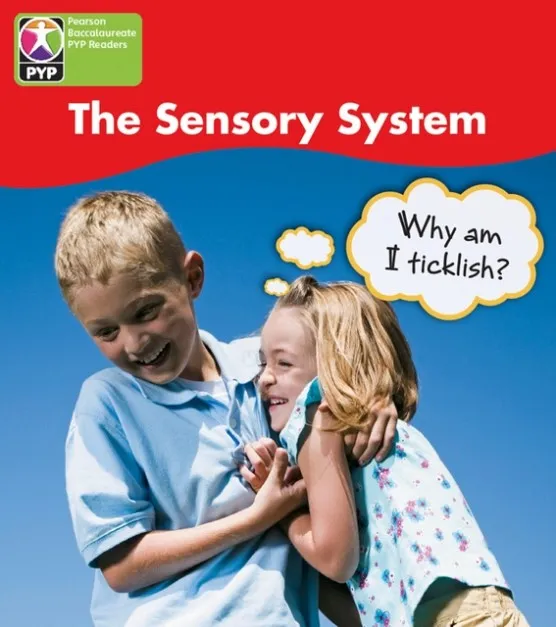 SENSORY SYSTEM 6 PACK-PYP L4